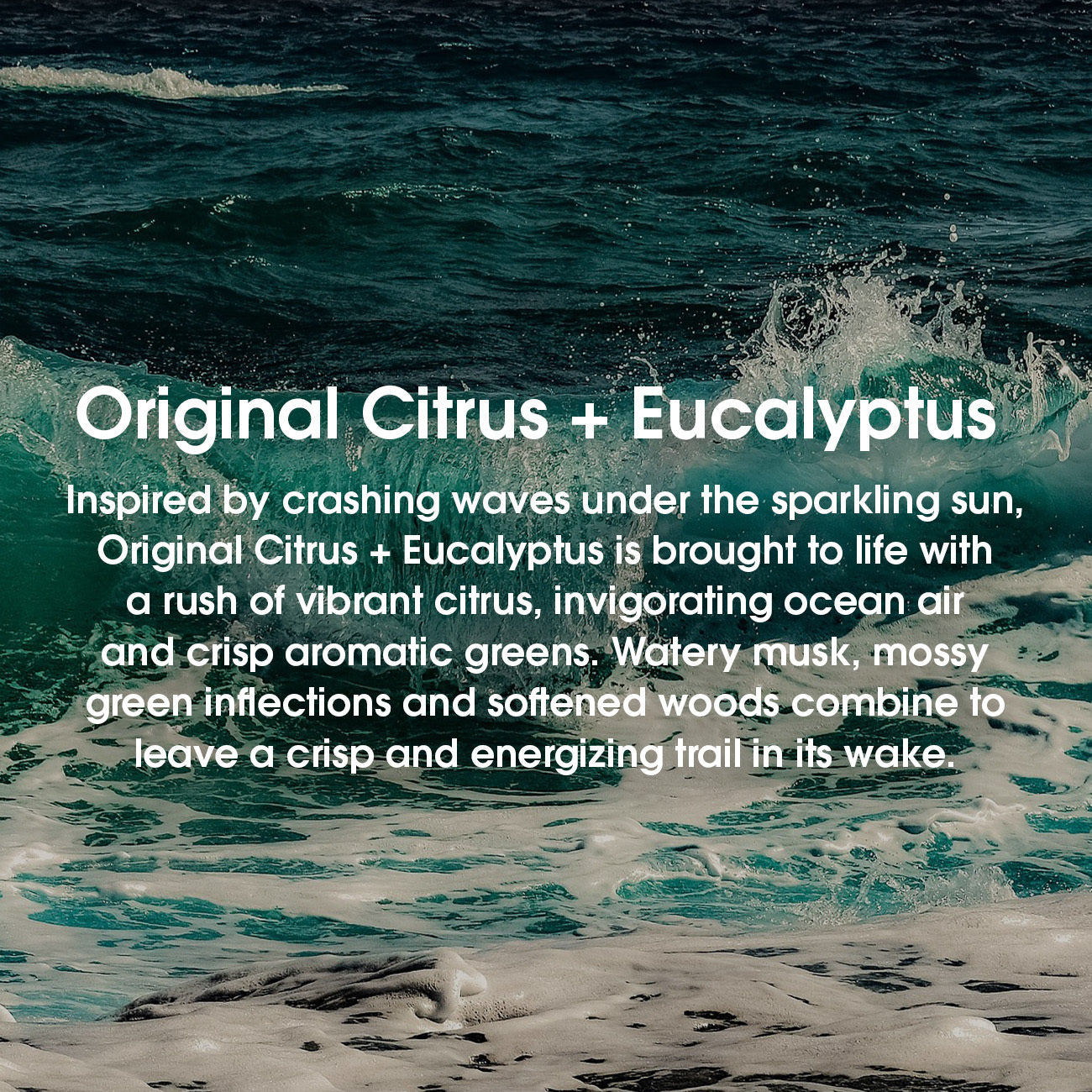 Inspired by crashing waves under the sparkling sun, original citrus + eucalyptus is brought to life with a rush of vibrant citrus, invigorating ocean air and crisp aromatic greens. Watery musk, mossy green inflections and softened woods combine to leave a crisp and energizing trail in its wake #scent_original citrus + eucalyptus