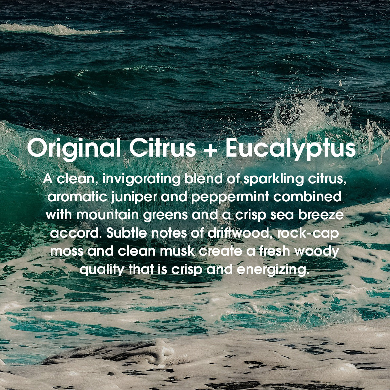 Waves with text: Original Citrus + Eucalyptus. A clean, invigorating blend of sparkling citrus, aromatic juniper and peppermint combined with mountain greens and a crisp sea breeze accord. Subtle notes of driftwood, rock-cap moss and clean musk create a fresh woody quality that is crisp and energizing.