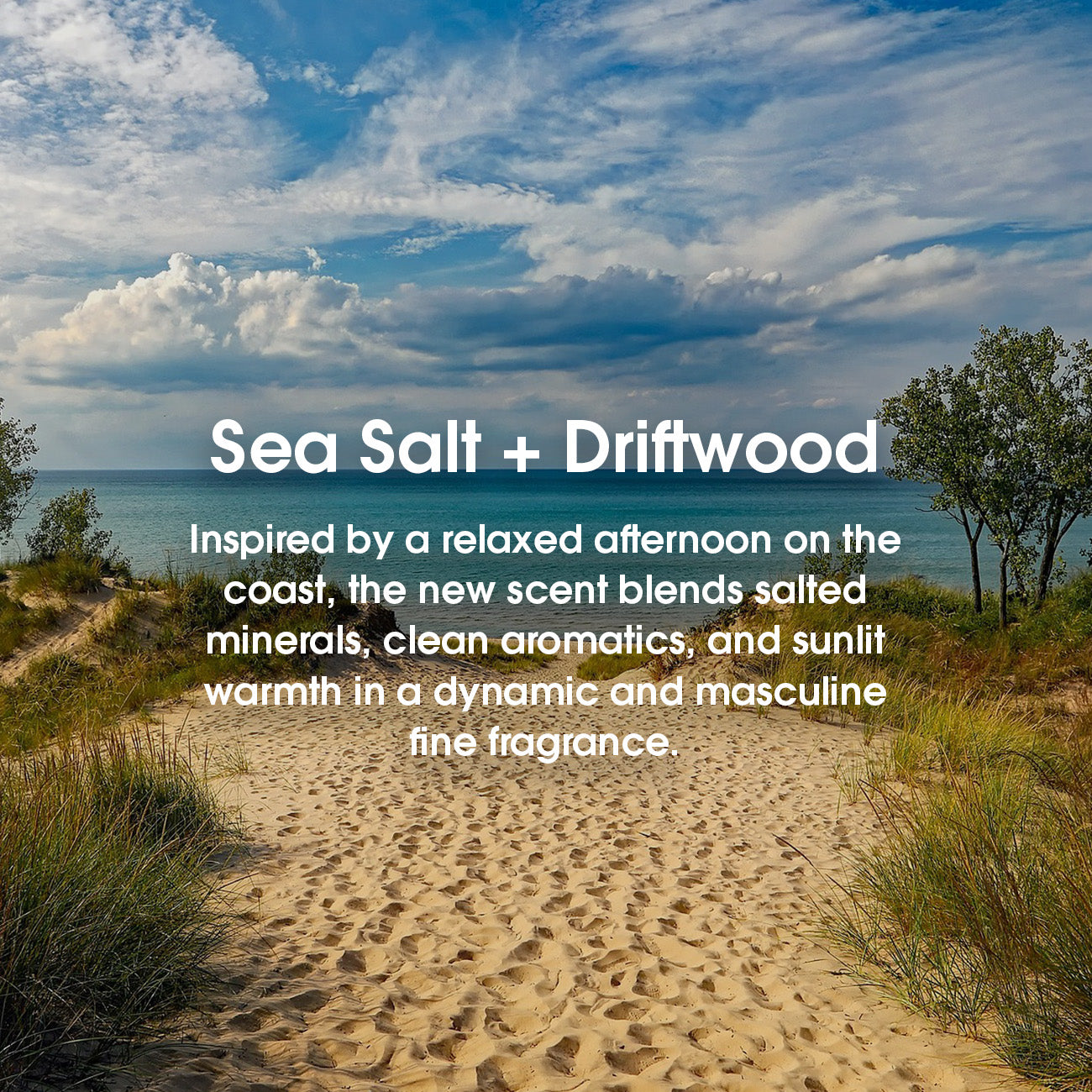 A beach scene with text: 'Sea Salt + Driftwood Inspired by a relaxed afternoon on the coast, the new scent blends salted minerals, clean aromatics, and sunlit warmth in a dynamic and masculine fine fragrance.'