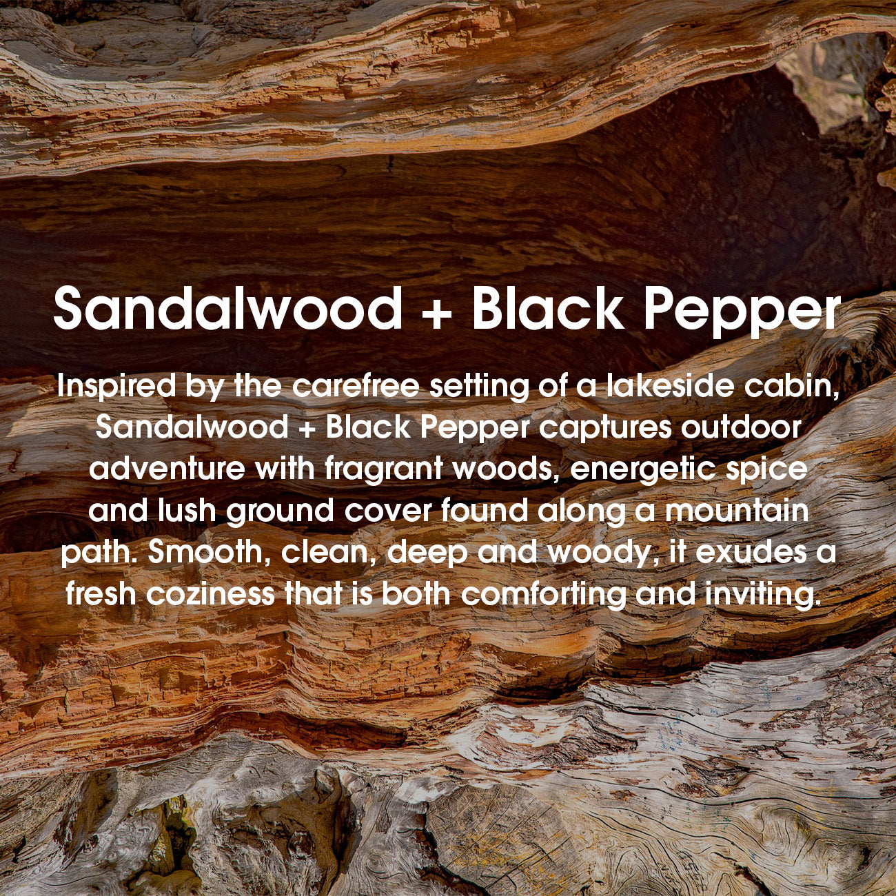#scent_Sandalwood + Black Pepper