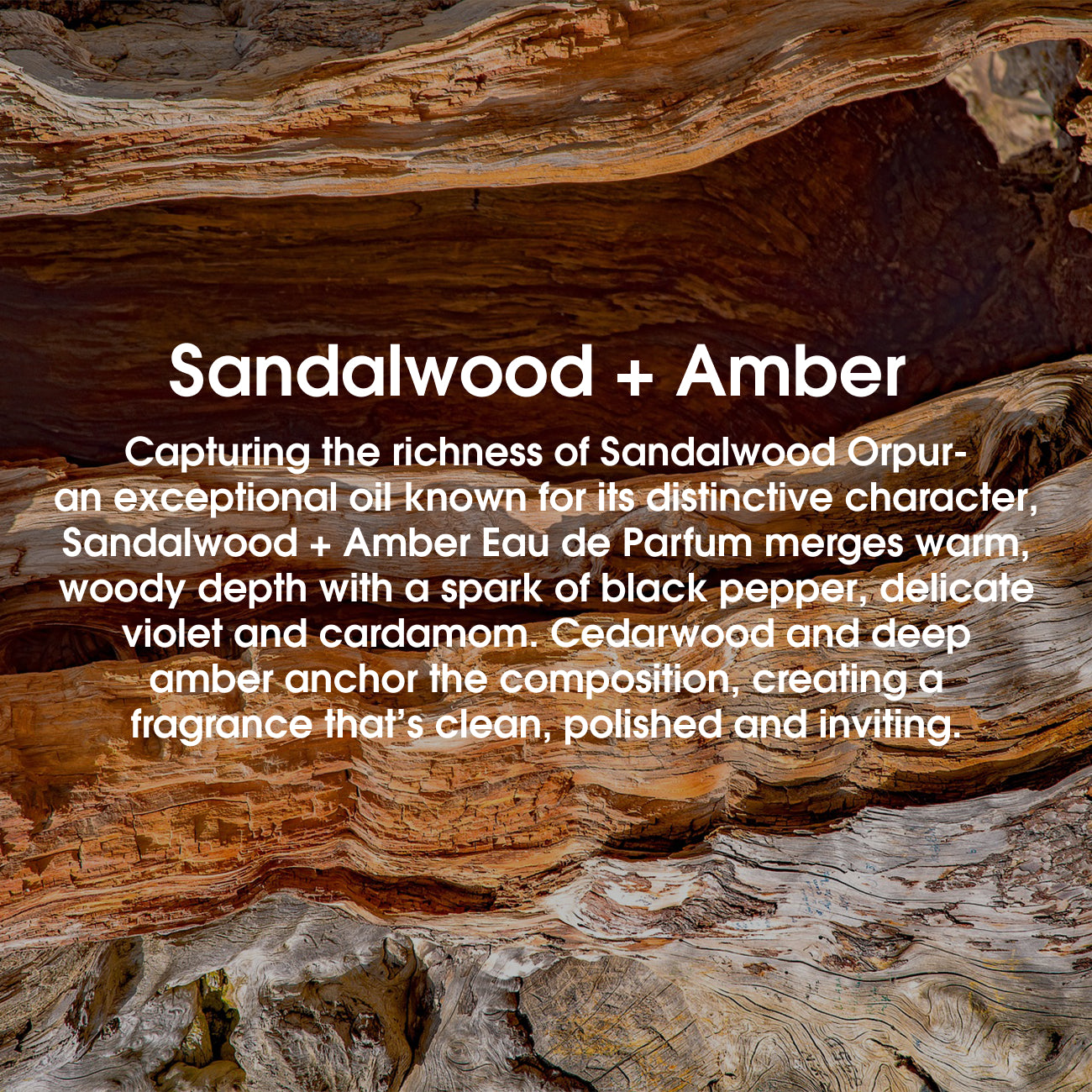 Capturing the richness of Sandalwood Orpur—an exceptional oil known for its distinctive character, Sandalwood + Amber Eau de Parfum merges warm, woody depth with a spark of black pepper, delicate violet and cardamom. Cedarwood and deep amber anchor the composition, creating a fragrance that’s clean, polished and inviting.#scent_sandalwood + amber