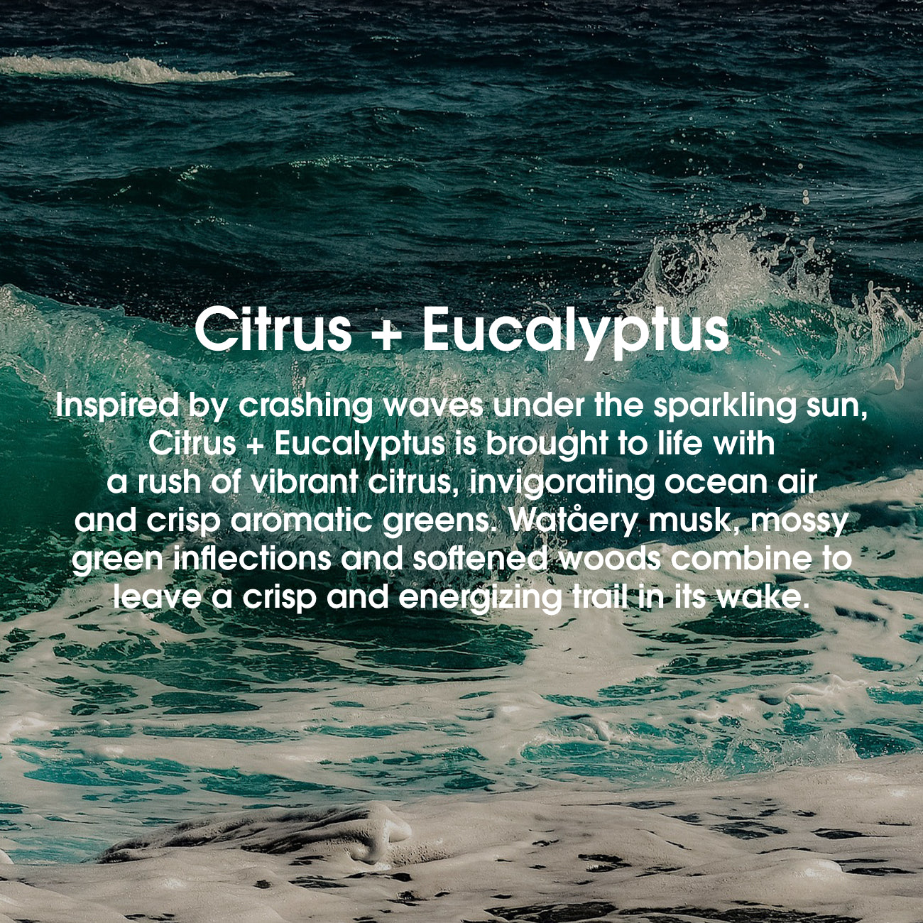 Inspired by crashing waves under the sparkling sun, citrus + eucalyptus is brought to life with a rush of vibrant citrus, invigorating ocean air and crisp aromatic greens. Watery musk, mossy green inflections and softened woods combine to leave a crisp and energizing trail in its wake #scent_citrus + eucalyptus