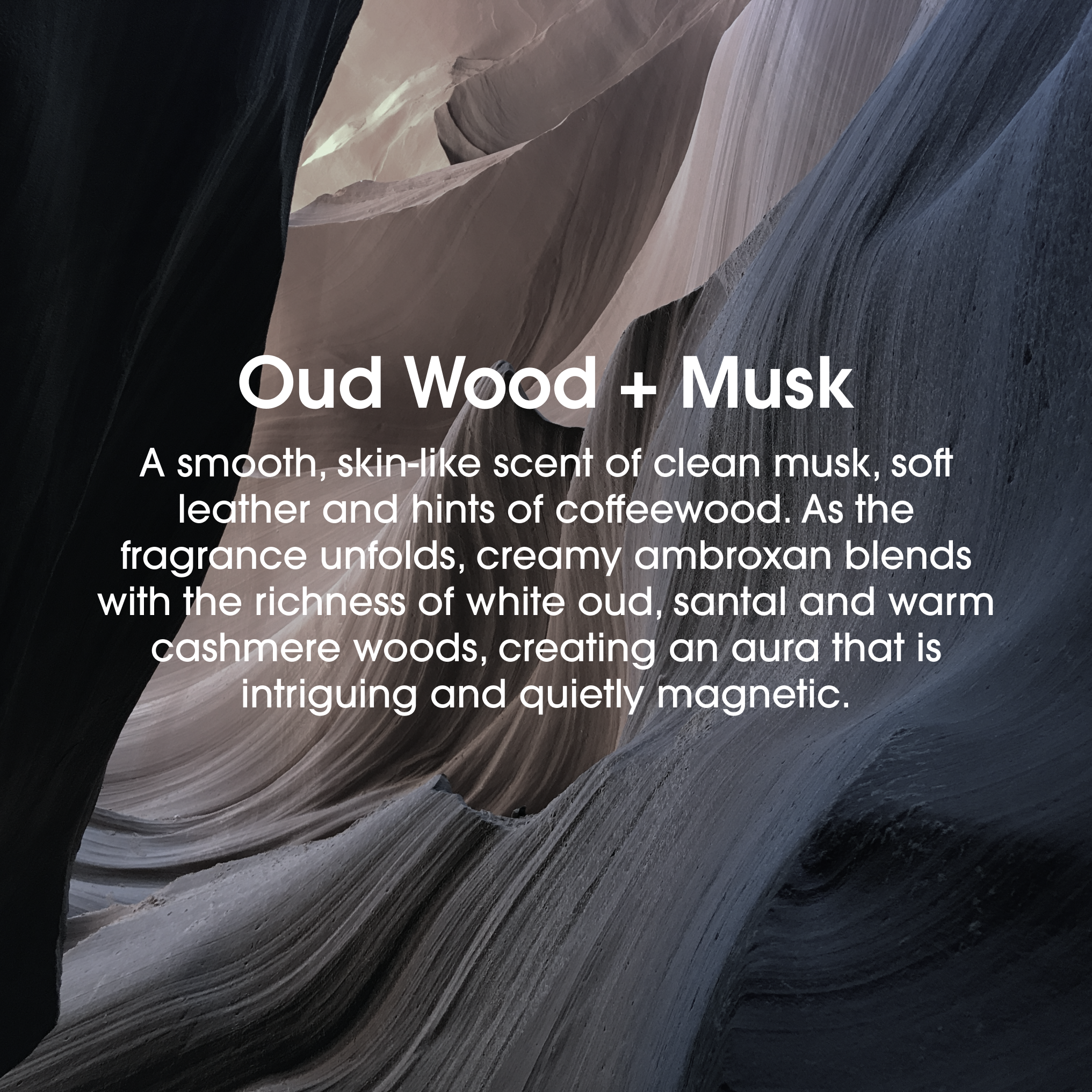 #scent_oud wood + musk