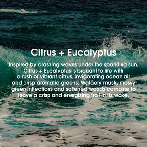 Promotional banner titled ‘Citrus + Eucalyptus’ describing vibrant citrus, ocean air, aromatic greens and watery musk #scent_citrus + eucalyptus
