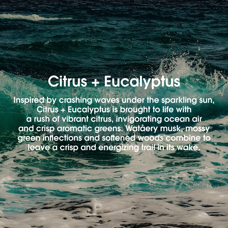 Inspired by crashing waves under the sparkling sun, citrus + eucalyptus is brought to life with a rush of vibrant citrus, invigorating ocean air and crisp aromatic greens. Watery musk, mossy green inflections and softened woods combine to leave a crisp and energizing trail in its wake#scent_citrus + eucalyptus