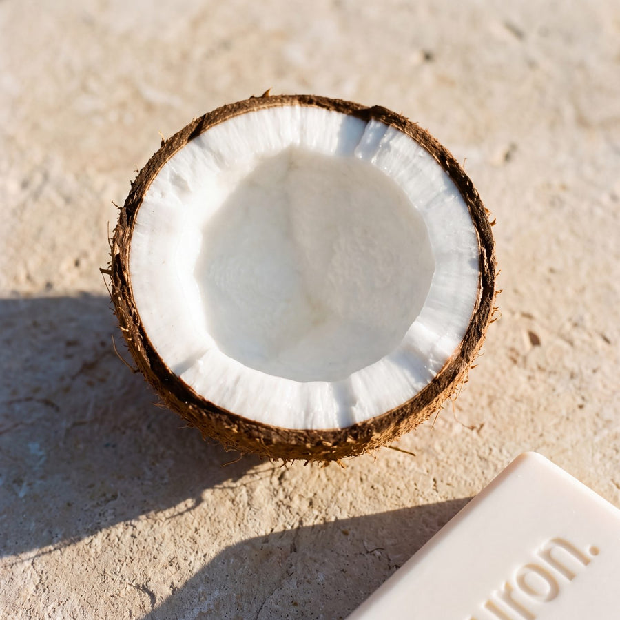 Half a coconut beside a Huron bar